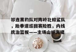 包含祁连黑豹队对阵岭北鲸鲨队，跆拳道巡回赛险胜，内线统治篮板——主场山呼海啸的词条